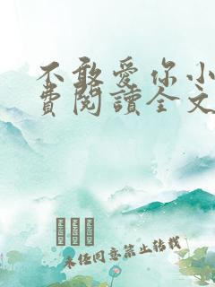 不敢爱你小说免费阅读全文
