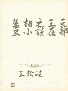 万相之王天蚕土豆小说在那里更新