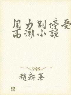 用力别停受不了高潮小说