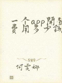 一个app开发费用多少钱