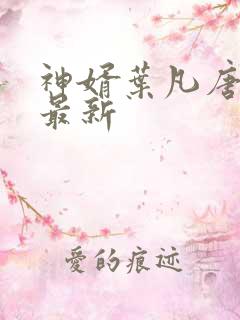 神婿叶凡唐若雪最新