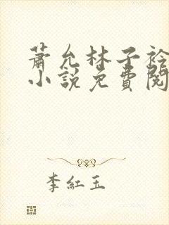 萧允林子衿穿越小说免费阅读无弹窗