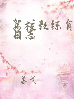 驾校教练员教学日志 驾校教练员教学日志