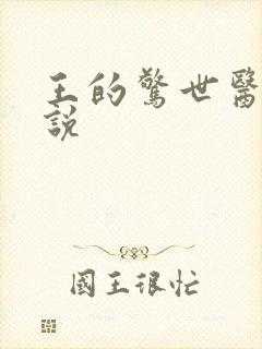 王的惊世医妃小说