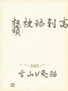 想被舔到高潮视频