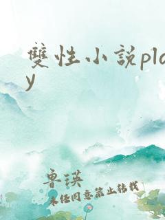 双性小说play
