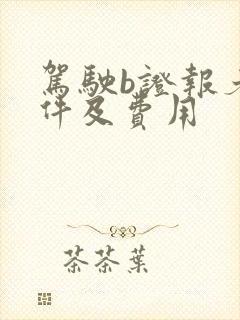 驾驶b证报考条件及费用