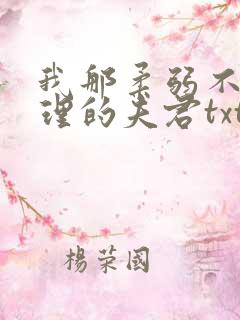 我那柔弱不能自理的夫君txt