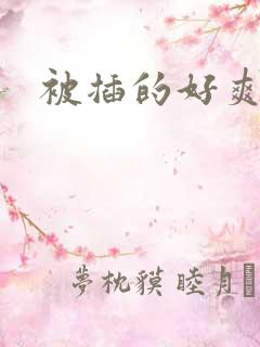 被插的好爽嗯啊