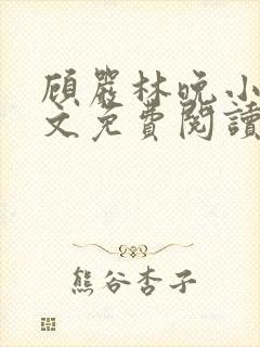 顾严林晚小说全文免费阅读