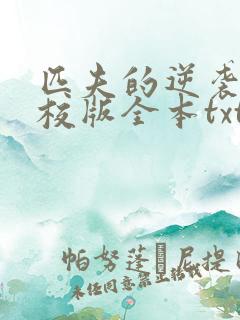 匹夫的逆袭 精校版全本txt 匹夫的逆袭 精校版全本txt