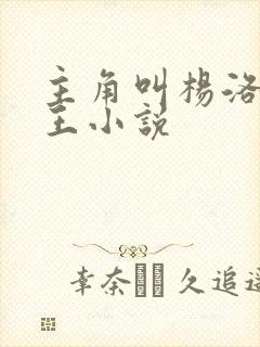 主角叫杨洛的兵王小说