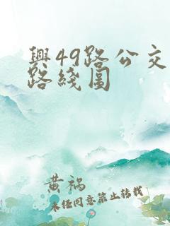 兴49路公交车路线图 兴49路公交车路线图