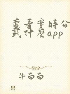 查看实时公交下载什么app