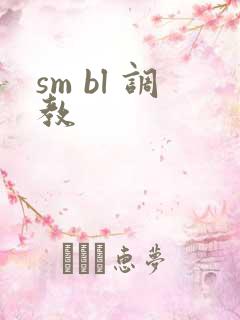 sm bl 调教