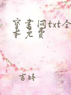 宝书网txt全本免费