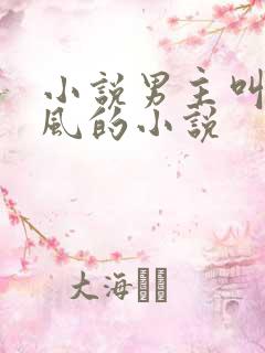 小说男主叫沈南风的小说