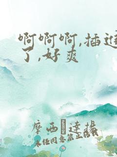 啊啊啊,插进去了,好爽