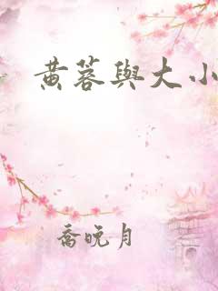 黄蓉与大小武
