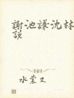 谢池谦沈林熹小说