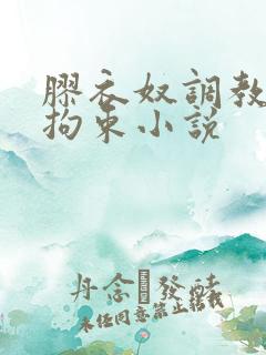 胶衣奴调教重口拘束小说