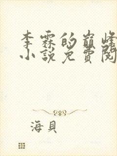 李霖的巅峰官路小说免费阅读