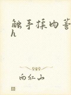 触手揉肉蒂高潮h