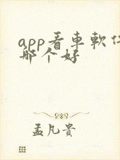 app看车软件哪个好