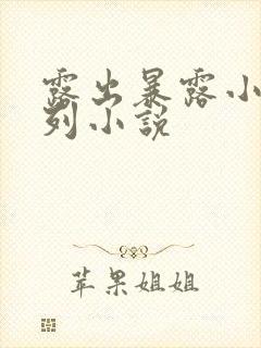 露出暴露小说系列小说 露出暴露小说系列小说