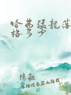 哈弗猛龙落地价格多少 哈弗猛龙落地价格多少