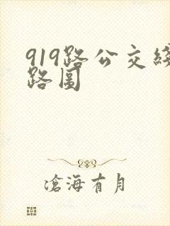 919路公交线路图
