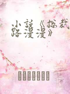 小说《总裁追妻路漫漫》