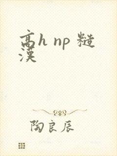 高h np 糙汉