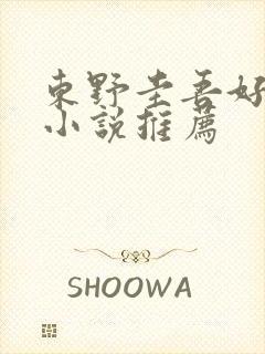 东野圭吾好看的小说推荐