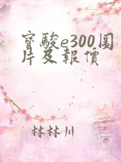 宝骏e300图片及报价