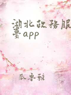 湖北政务服务平台app 湖北政务服务平台app