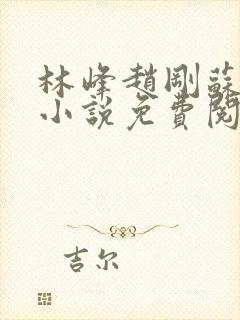 林峰赵刚苏柔的小说免费阅读