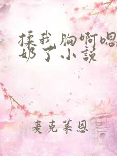 揉我胸啊嗯~出奶了小说