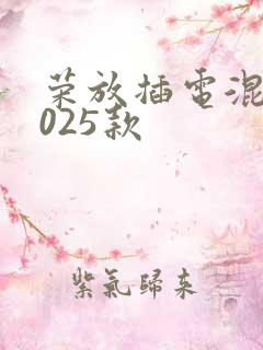 荣放插电混动2025款