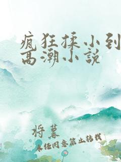 疯狂揉小到失禁高潮小说