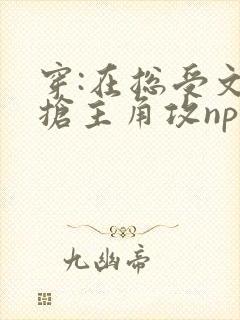 穿:在总受文里抢主角攻np
