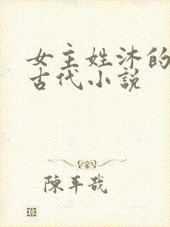 女主姓沐的重生古代小说 女主姓沐的重生古代小说