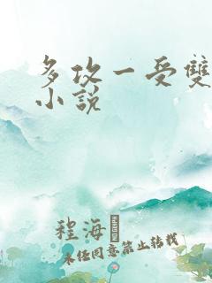 多攻一受双男主小说