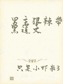 男主狠辣带肉的黑道文