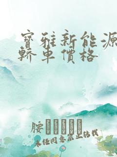 宝雅新能源电动轿车价格