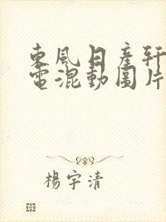 东风日产轩逸油电混动图片