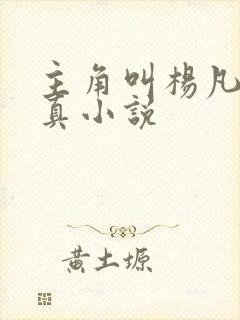 主角叫杨凡的修真小说