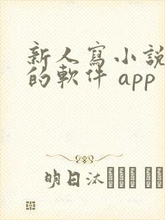 新人写小说赚钱的软件 app