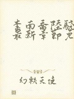 李南乔陆骁小说最新章节免费阅读