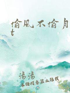 偷风不偷月txt